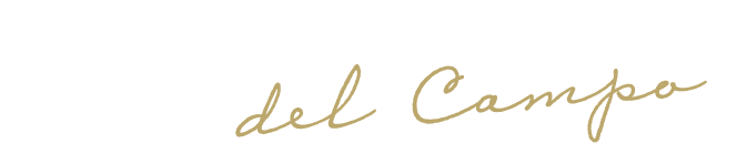 logo-weiß-auf-transparent2